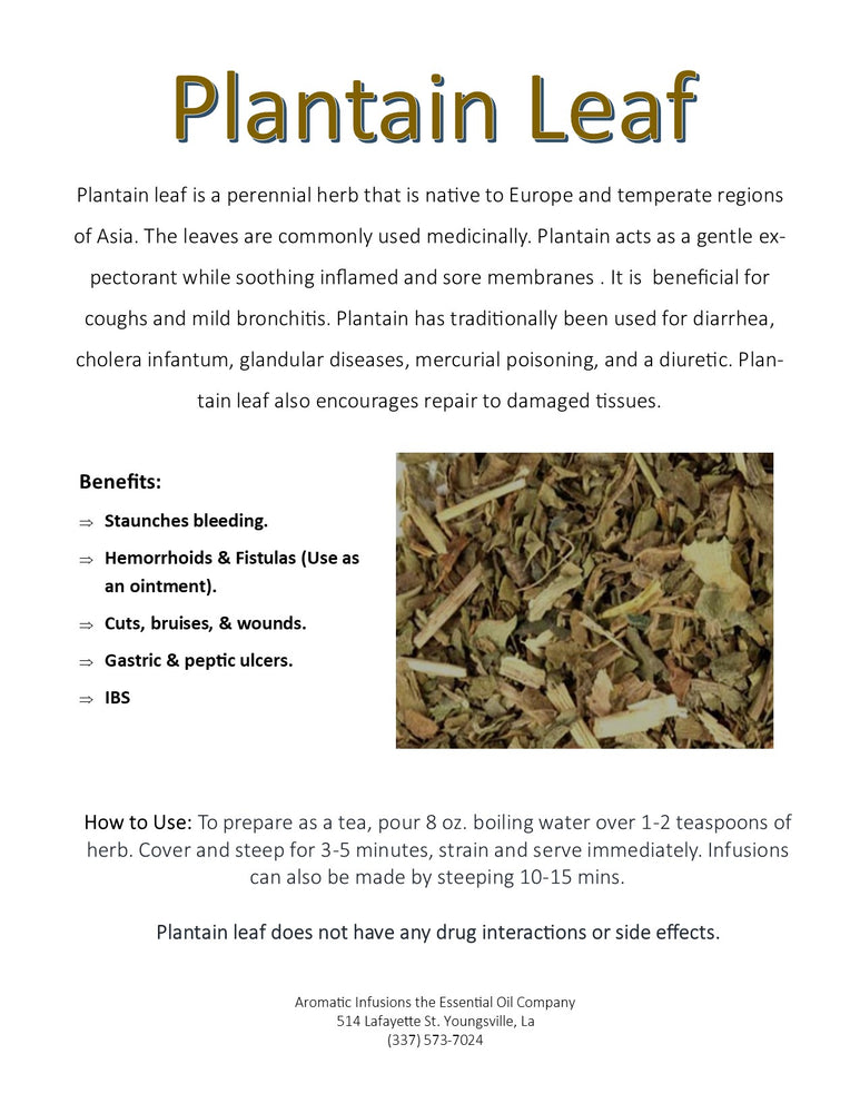 Plantain Leaf C/S OR