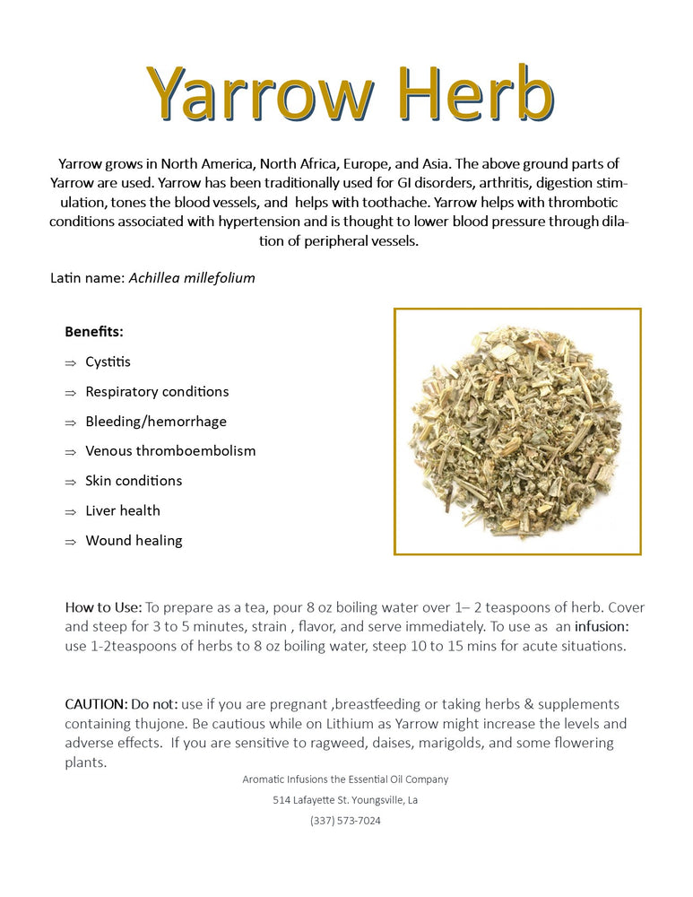 Yarrow Flowers Cut OR