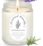 Ponderosa Pine Candle