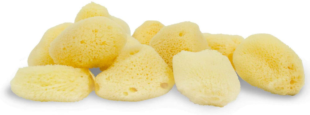 1-1/2" - 3" Dead Sea Sponge