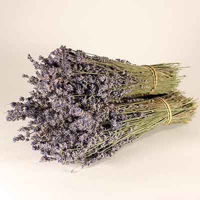 Lavender Bundle