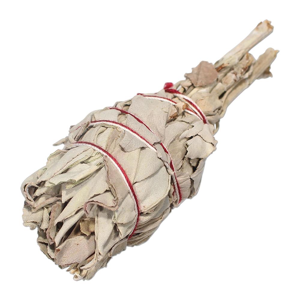 White Sage Torch 3"-4"