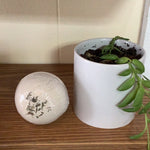 Spearmint Eucalyptus Bath Bomb